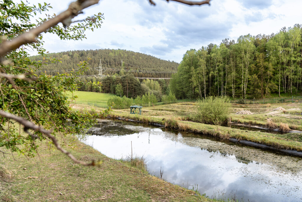 Flusskrebs-Teiche